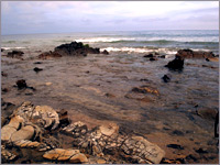 Crystal Cove Beach: Photo by Jeremyiah on Flickr